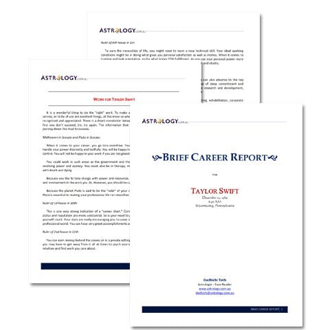 Brief Career Report BRIEF CAREER REPORT