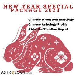  2023 CHINESE NEW YEAR SPECIAL PACKAGE