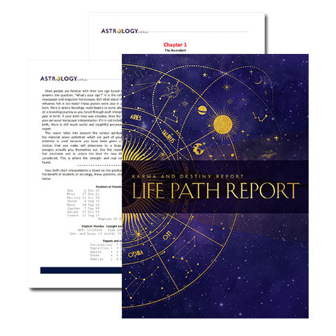 Destiny and Decisions Forecast Report
