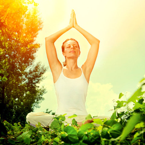 MONTHLY FITNESS AND HEALTHY LIFESTYLE REPORT