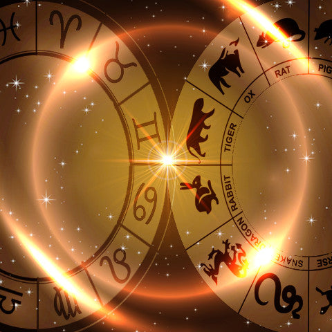 NEW AGE CHINESE AND WESTERN ASTROLOGY PROFILE