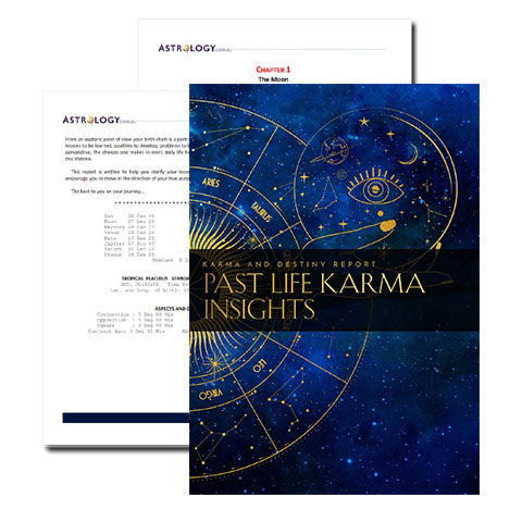  Past Life Karma Insight Report