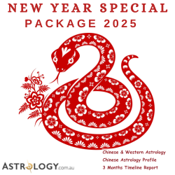  2025 CHINESE NEW YEAR SPECIAL PACKAGE